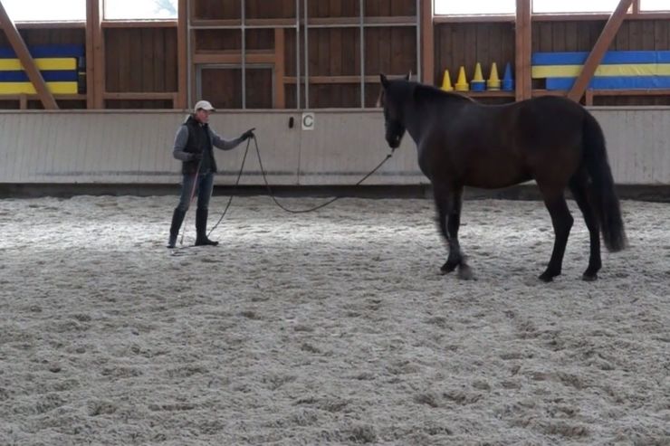 Circling mit Raven.jpg